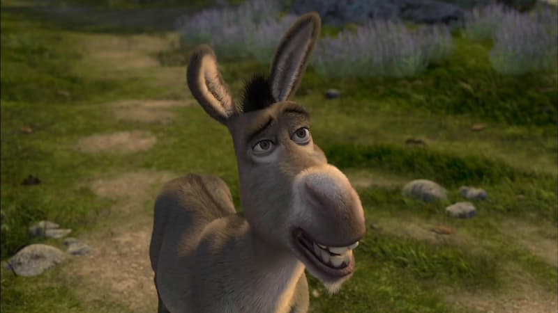 Burro do Shrek