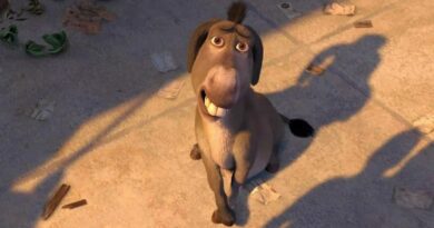 Burro
