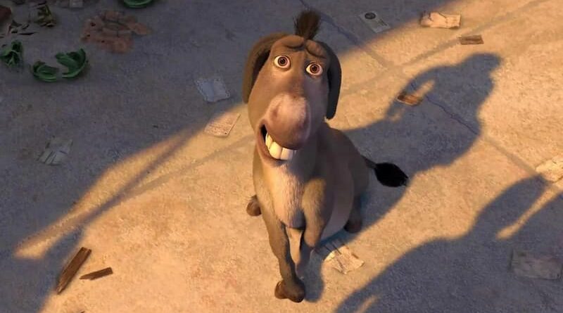 Burro