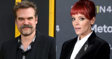 David Harbour e Lily Allen