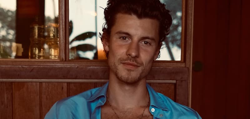 Shawn Mendes